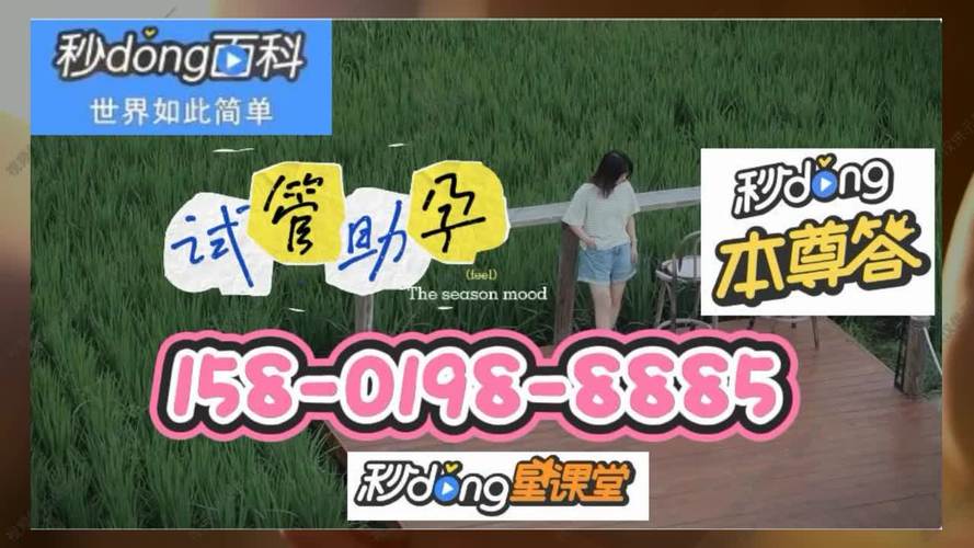 借卵试管代怀公司(借卵试管代怀公司:助您实现梦想)