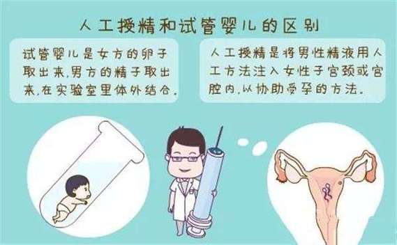 借卵是自己的孩子吗_借卵生育的孩子,是否算是自己的孩子?