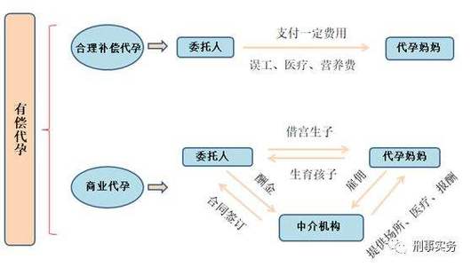 借卵试管代怀费(借卵试管代怀费:解读代孕费用和程序)