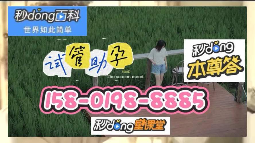 供卵试管包男孩(供卵试管包男孩:实现梦想的科技奇迹)
