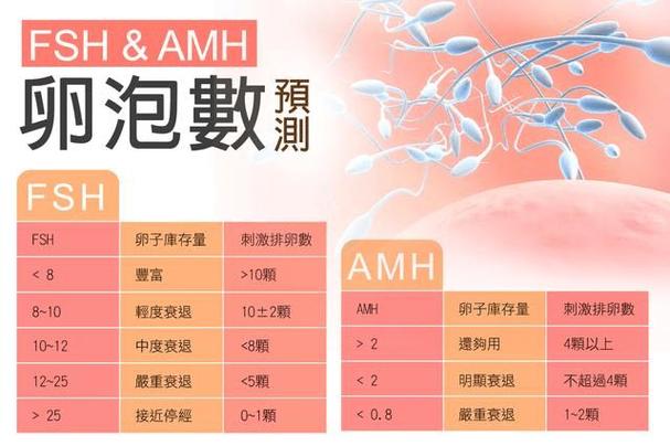 供卵试管大概需要多少费用_供卵试管:费用大概需要多少?
