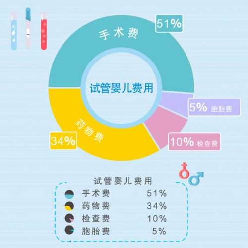 借卵试管代怀公司有哪些-借卵试管代怀公司有哪些服务?