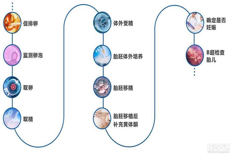 借卵试管代怀方式有哪些_借卵试管代怀:方式解析